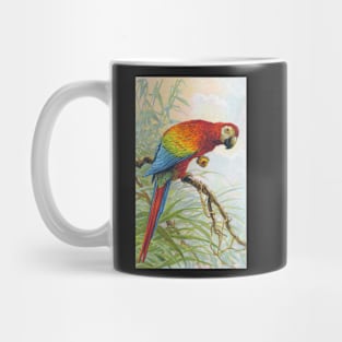 Parrot Mug